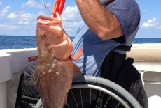 Tim catching grouper in a wheelchair
